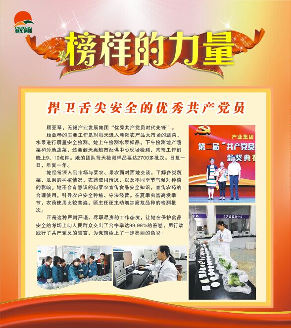 優秀共產黨員時代先鋒——顧亞琴